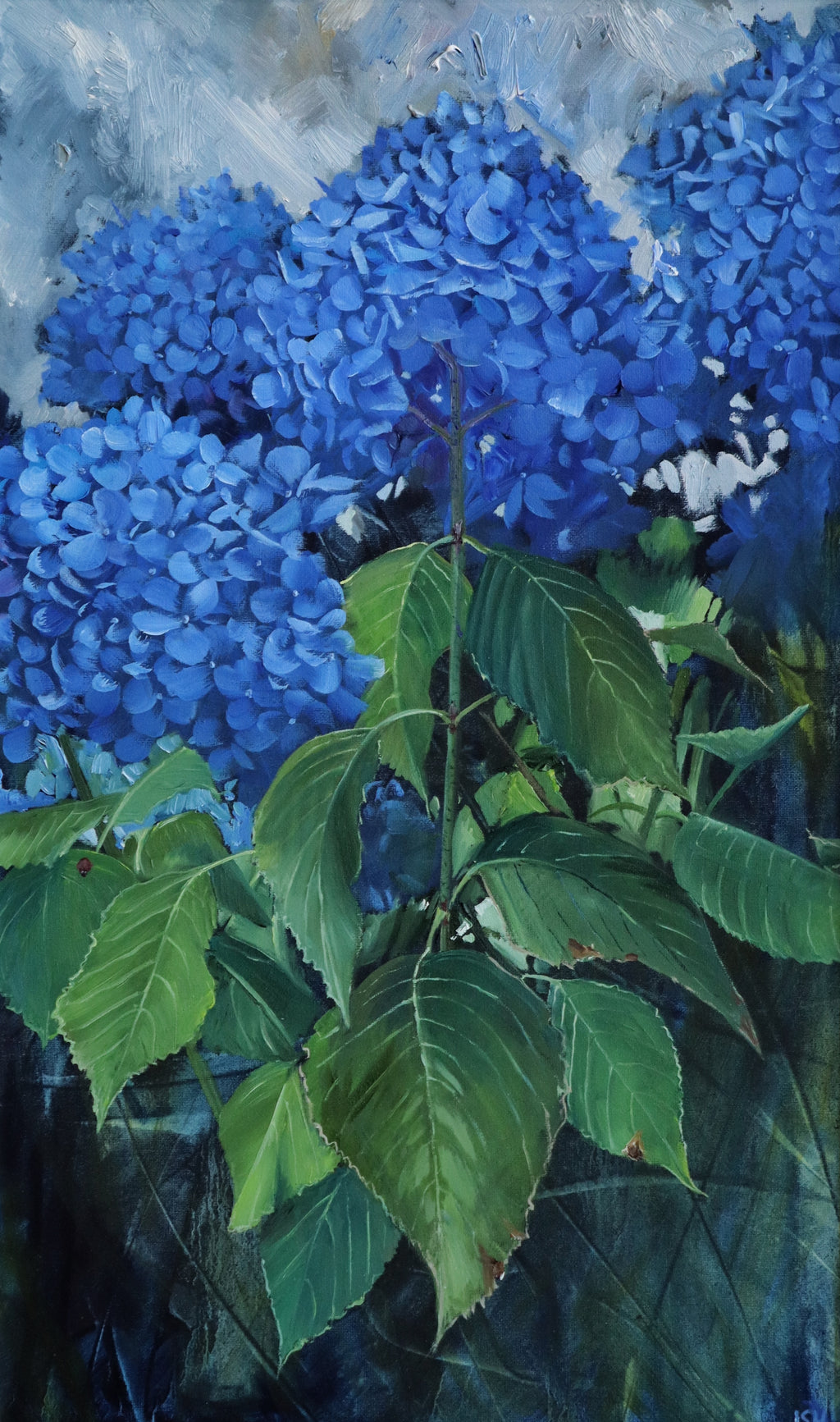 Ormiston Cobalt