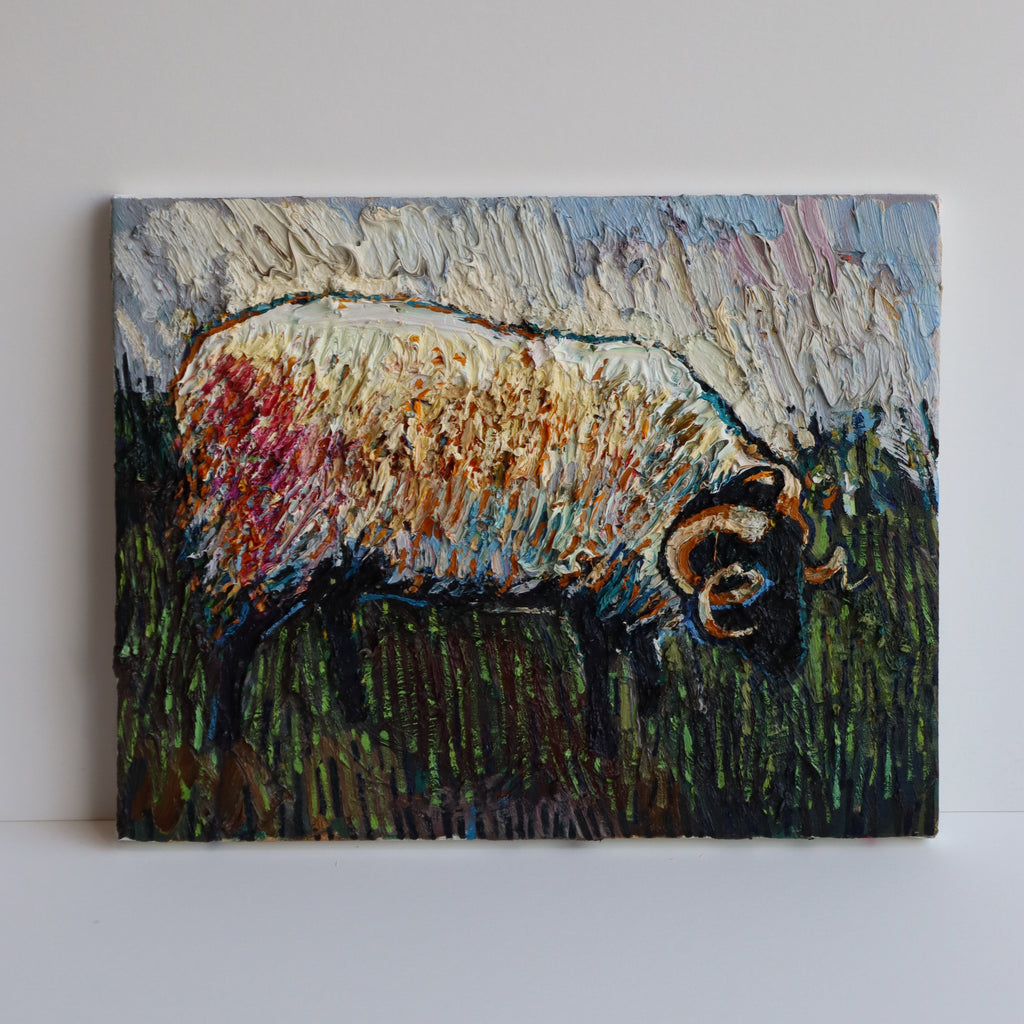 Ram on Achill Island