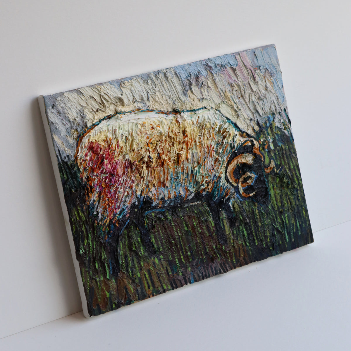 Ram on Achill Island