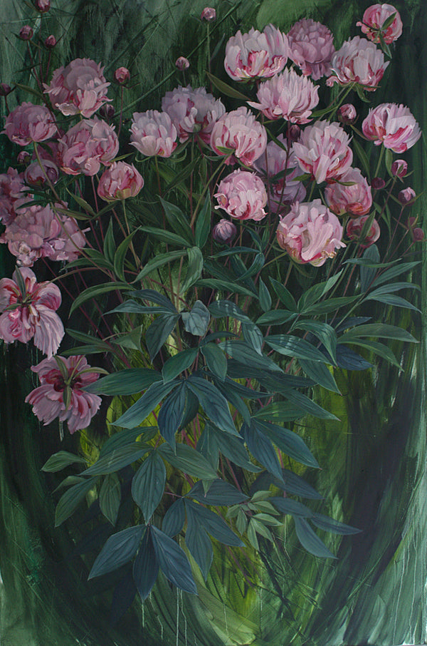 Belmont Peony