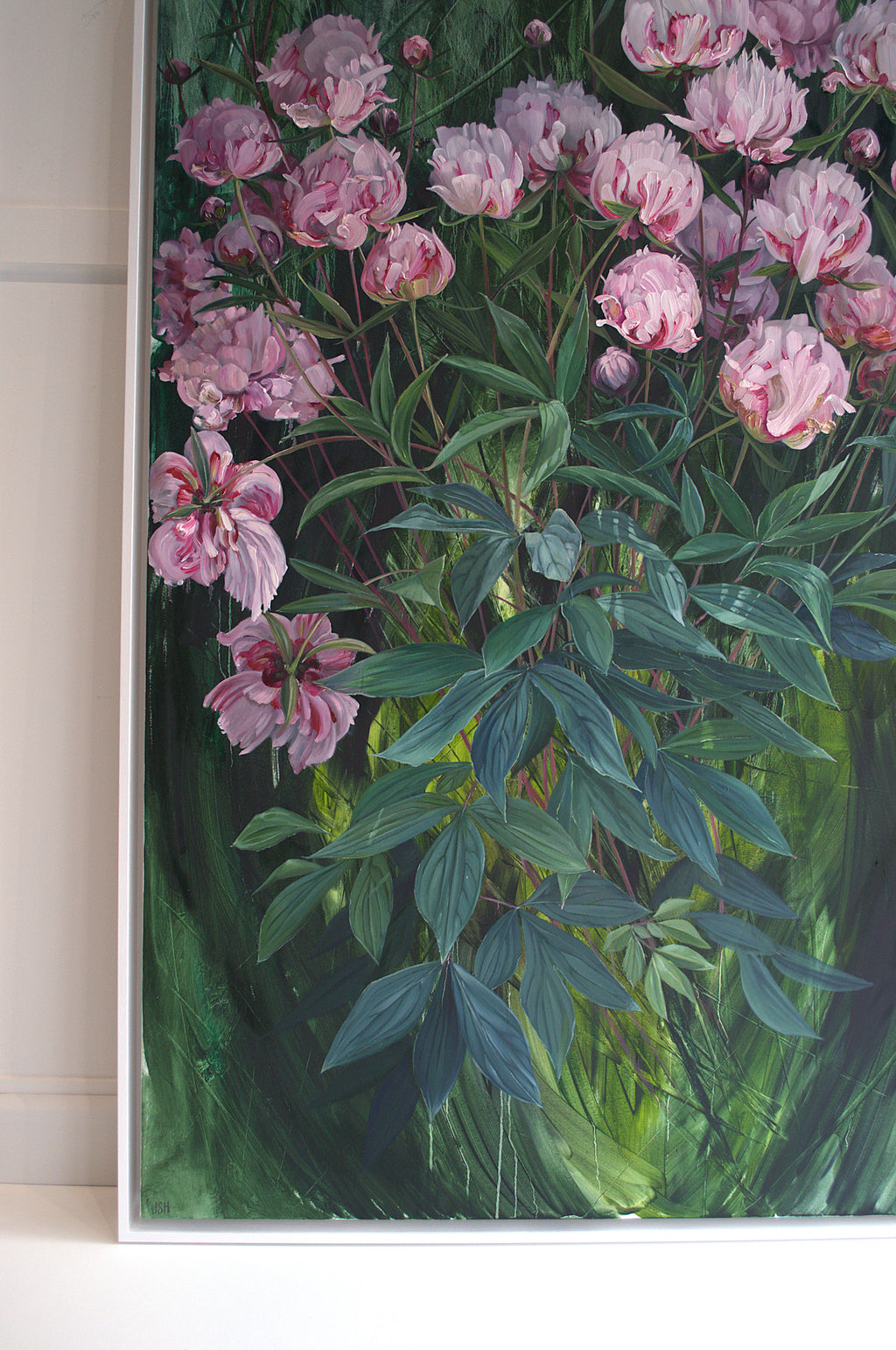 Belmont Peony