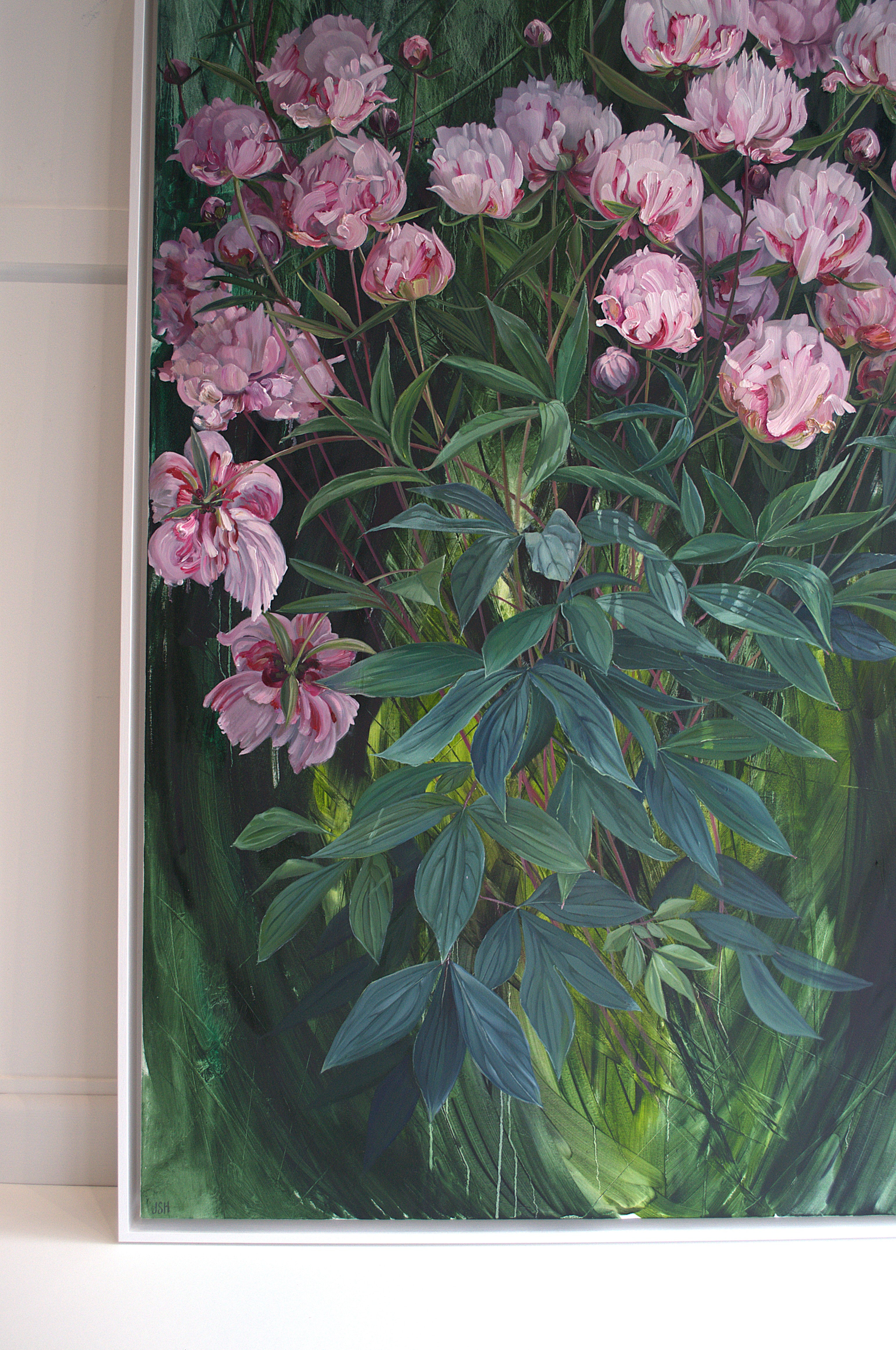 Belmont Peony