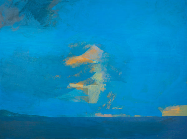 Chameleon Sky