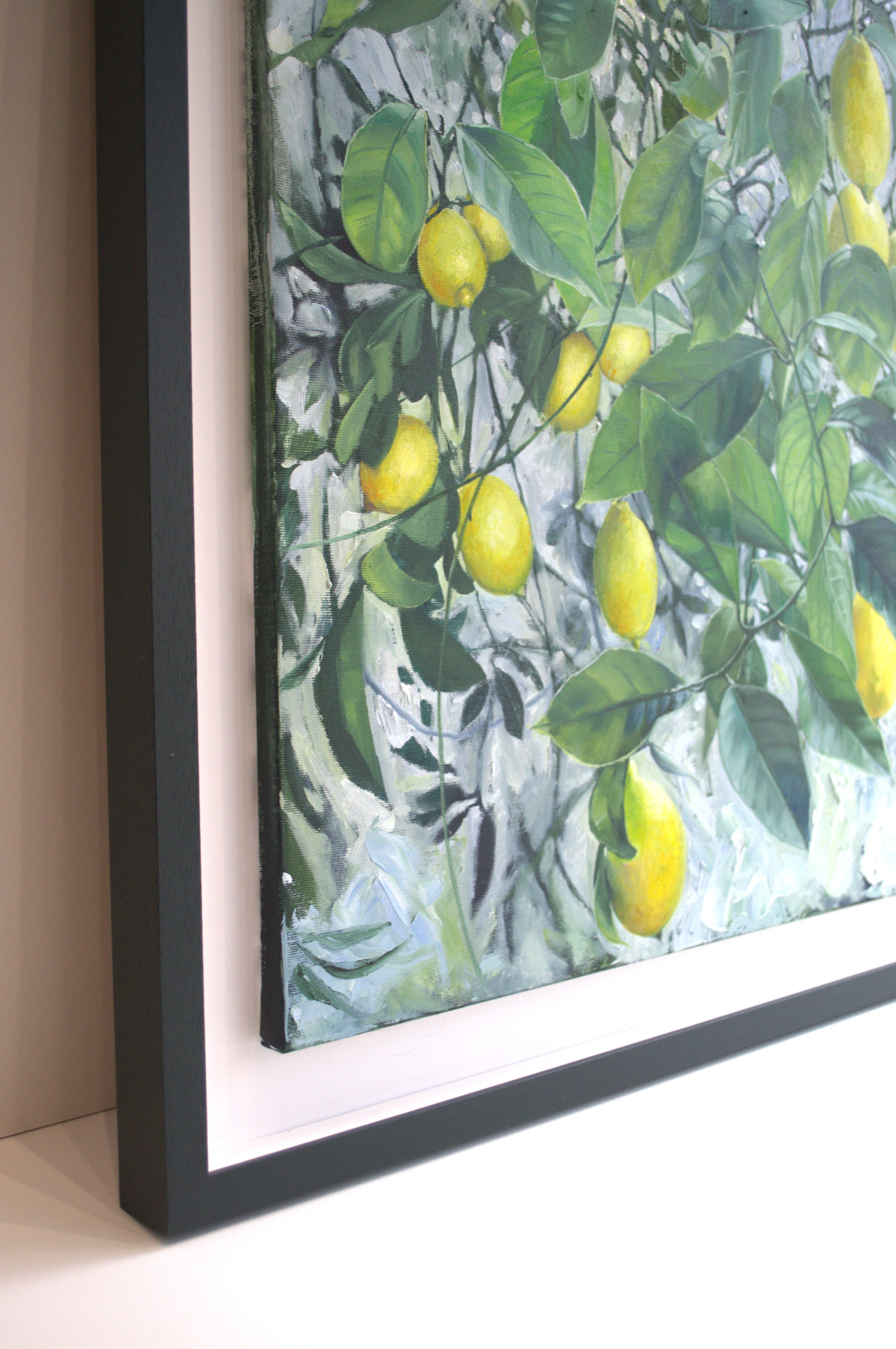 Colette's Lemon Tree