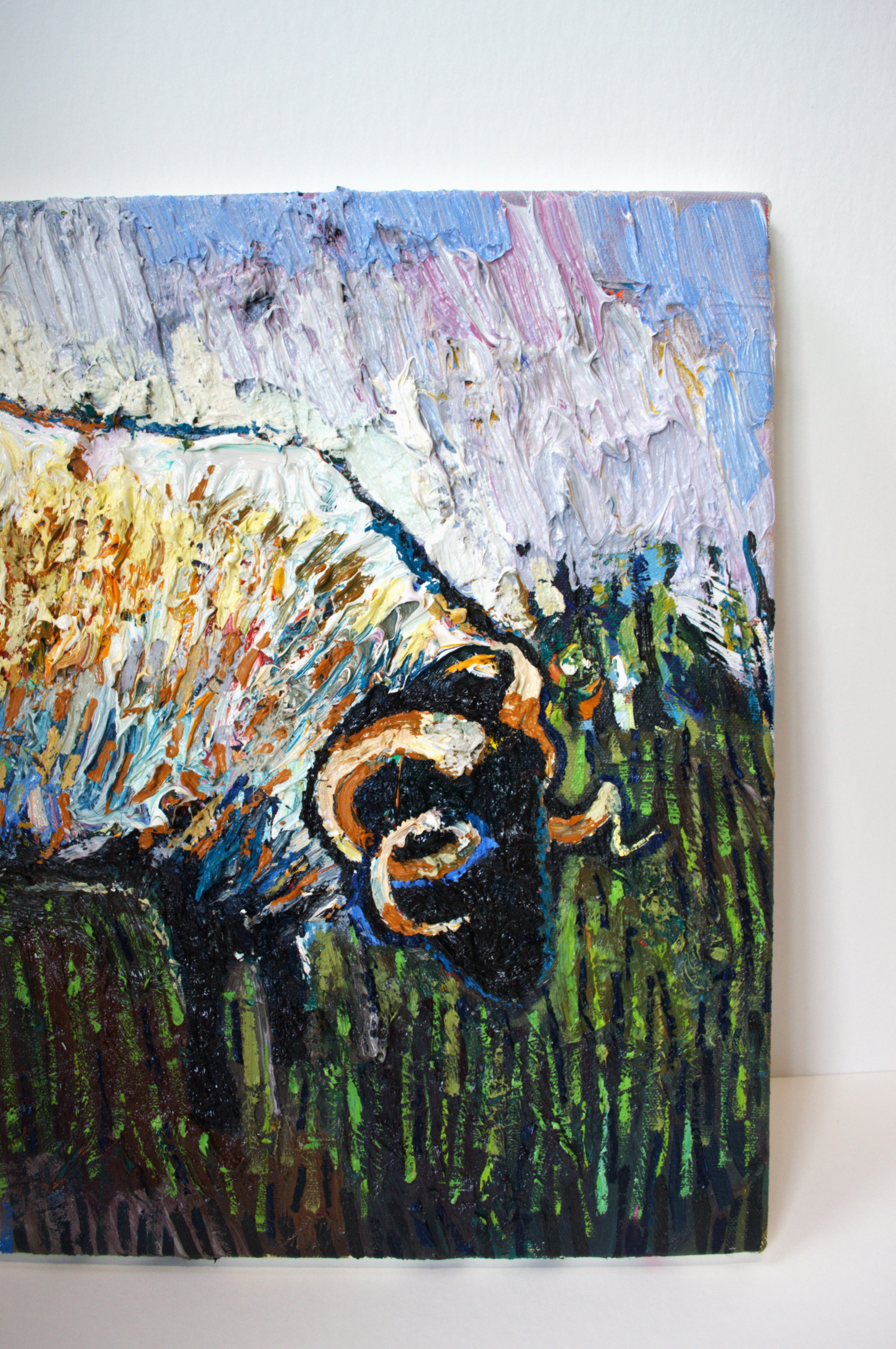 Ram on Achill Island