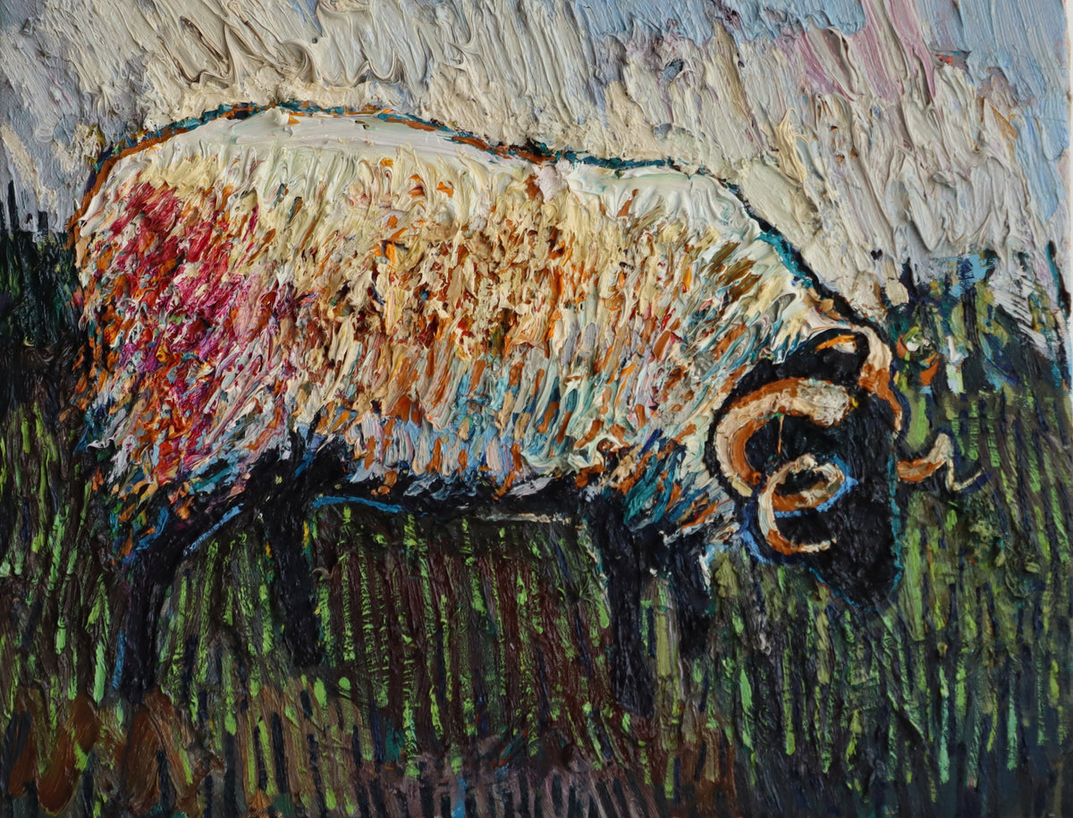 Ram on Achill Island