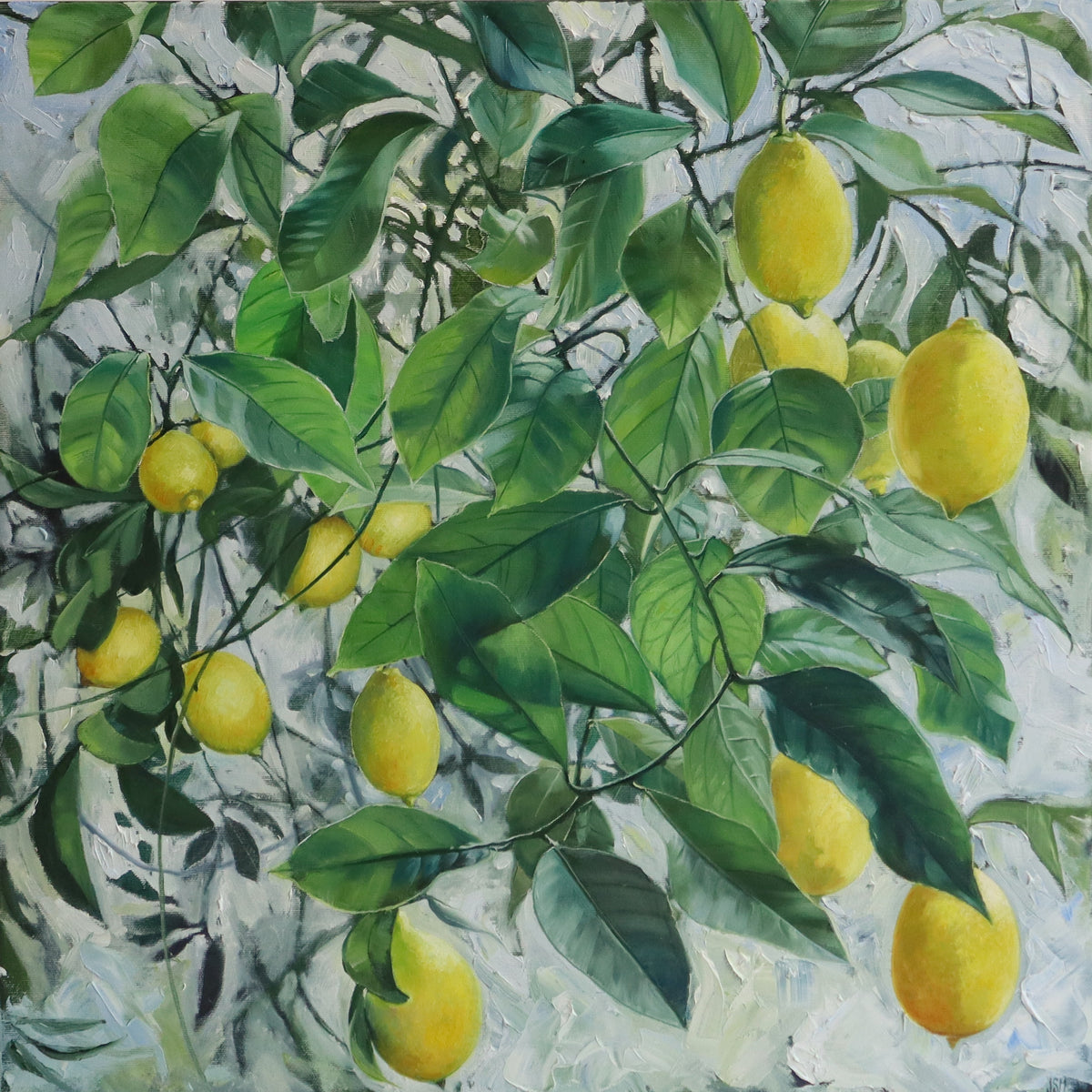 Colette's Lemon Tree