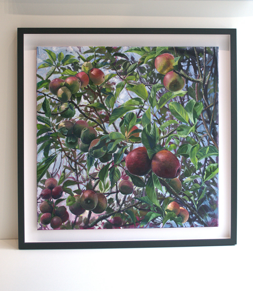 Next Door's Apple Tree
