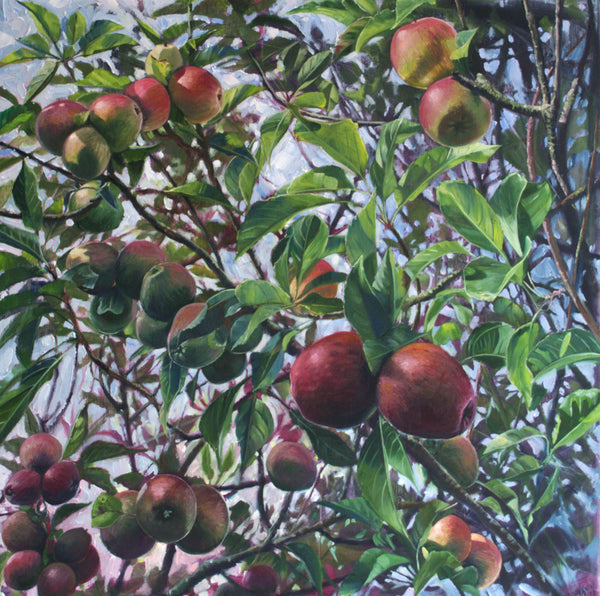 Next Door's Apple Tree