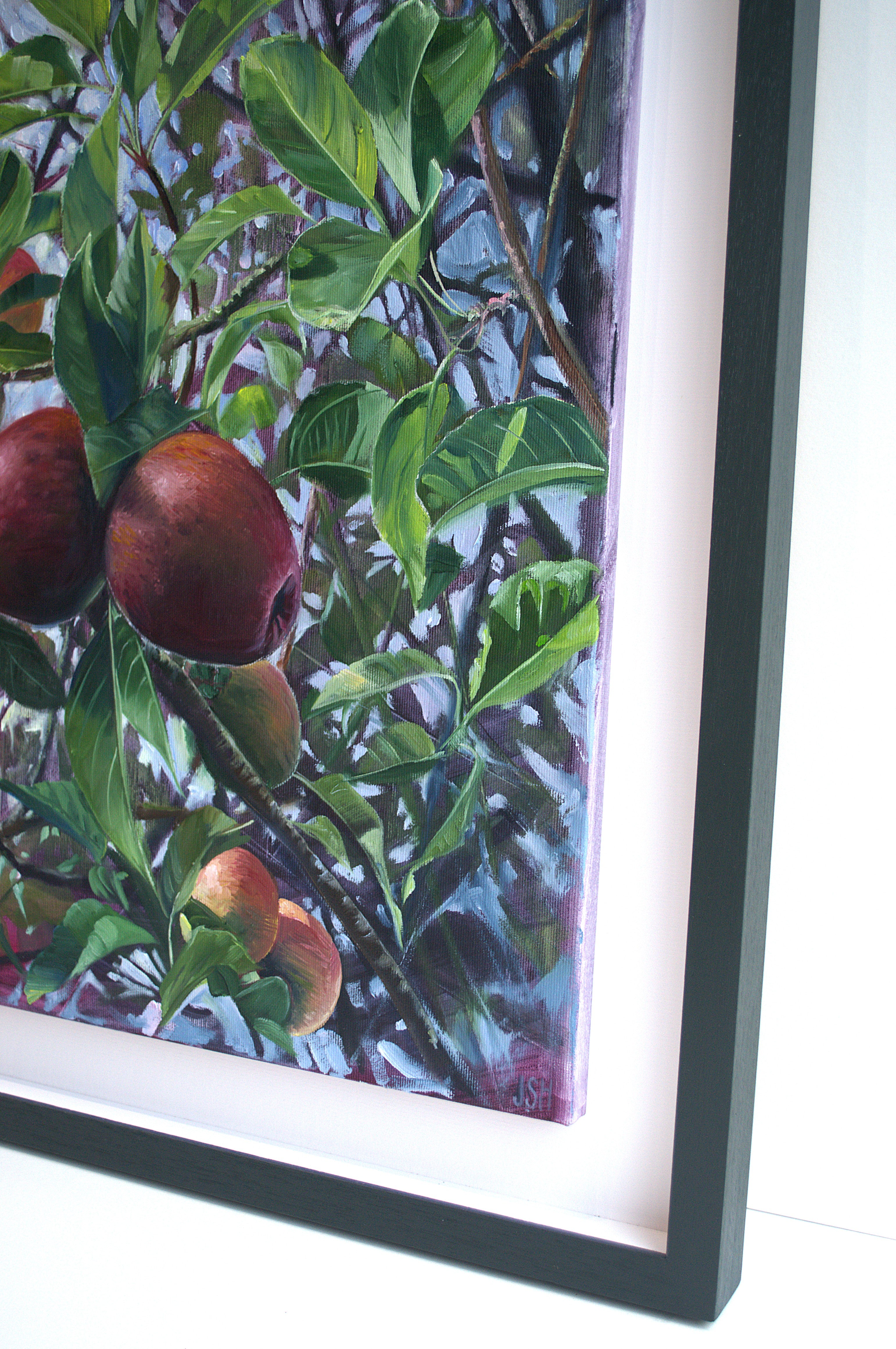 Next Door's Apple Tree