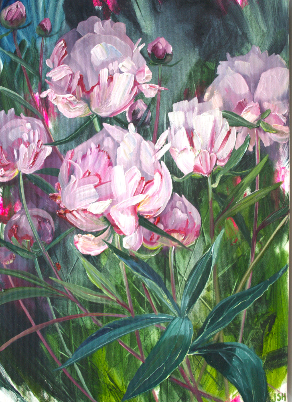Princess Peony