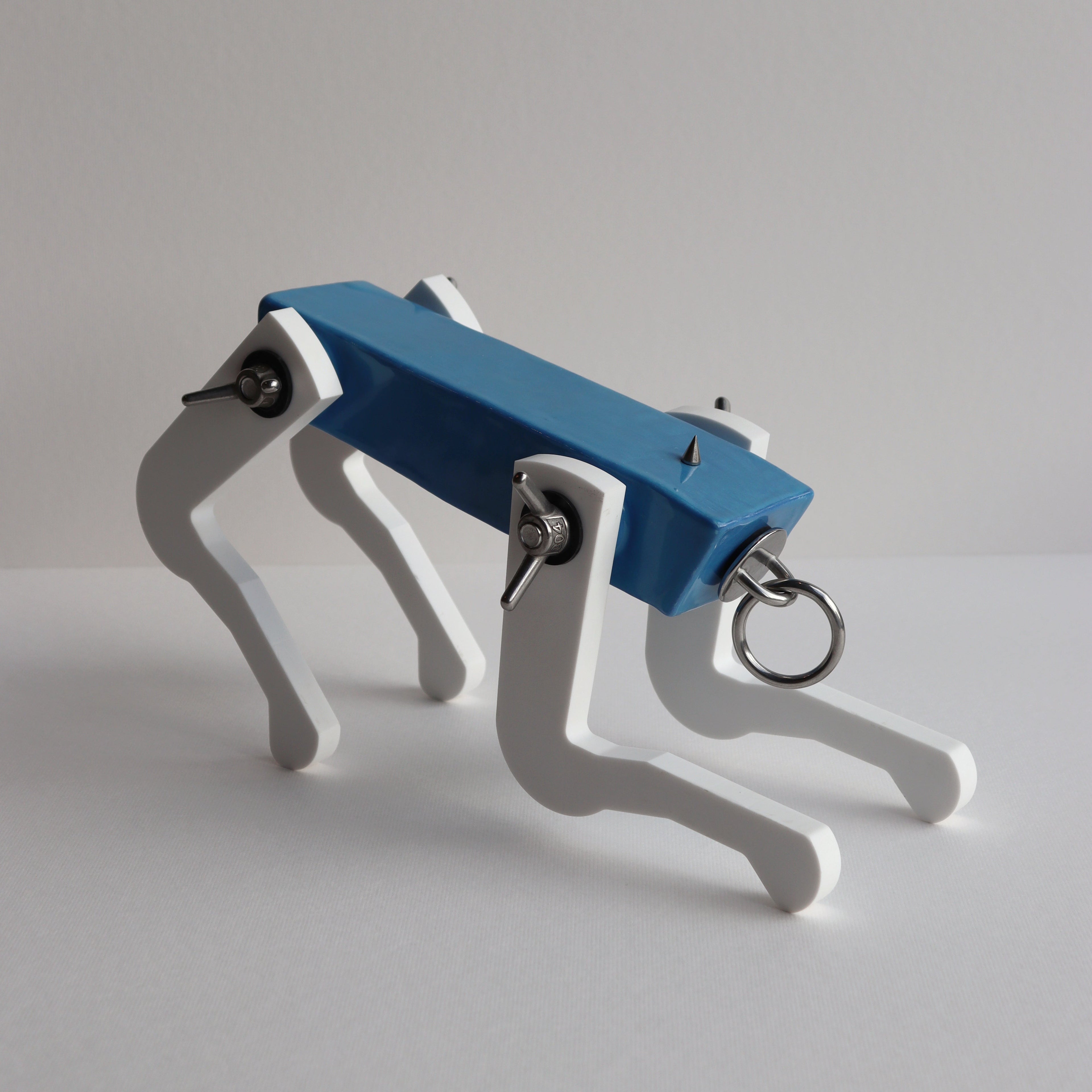 Black Pup (Powder Blue)