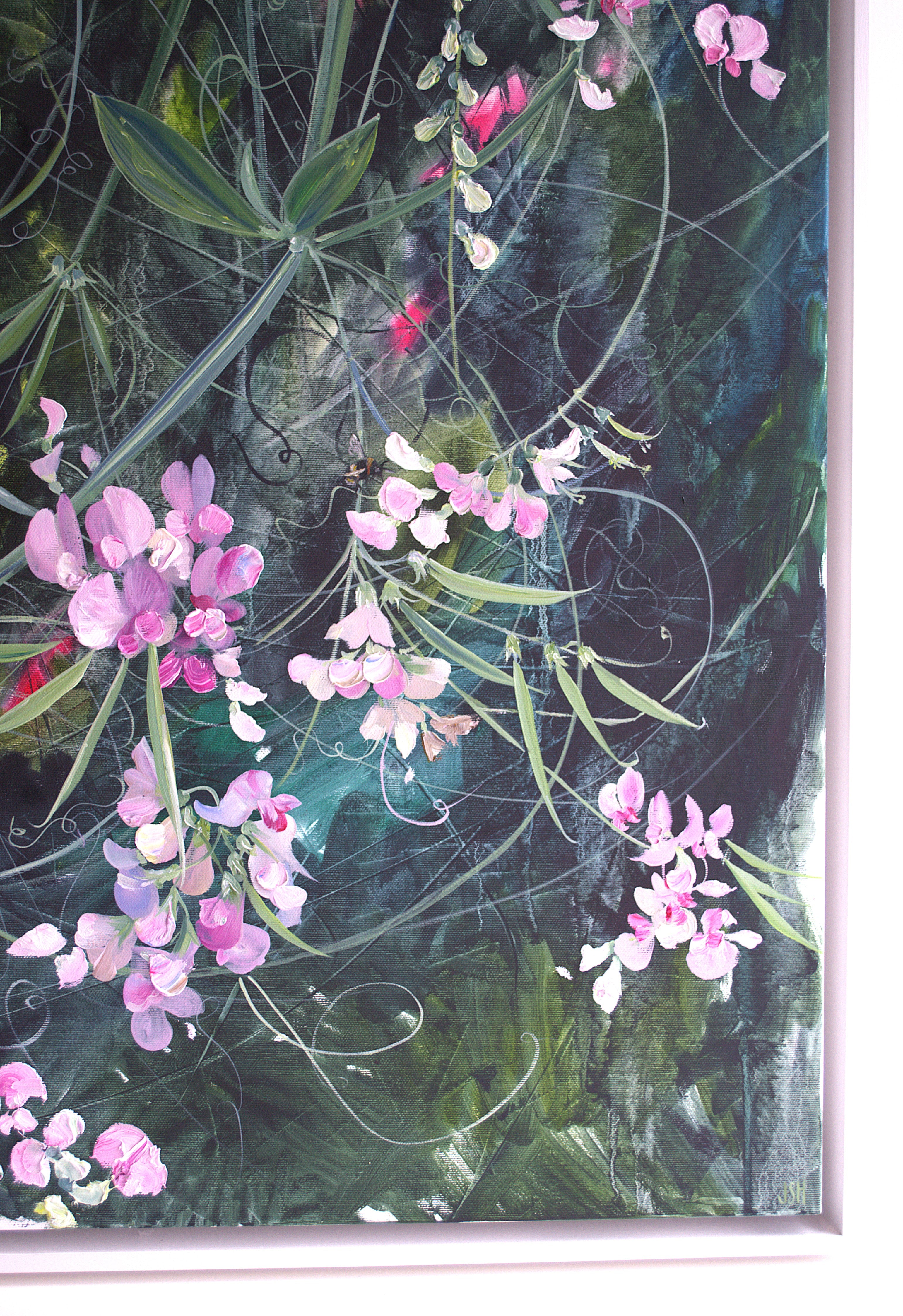 Croftwoods Sweetpea