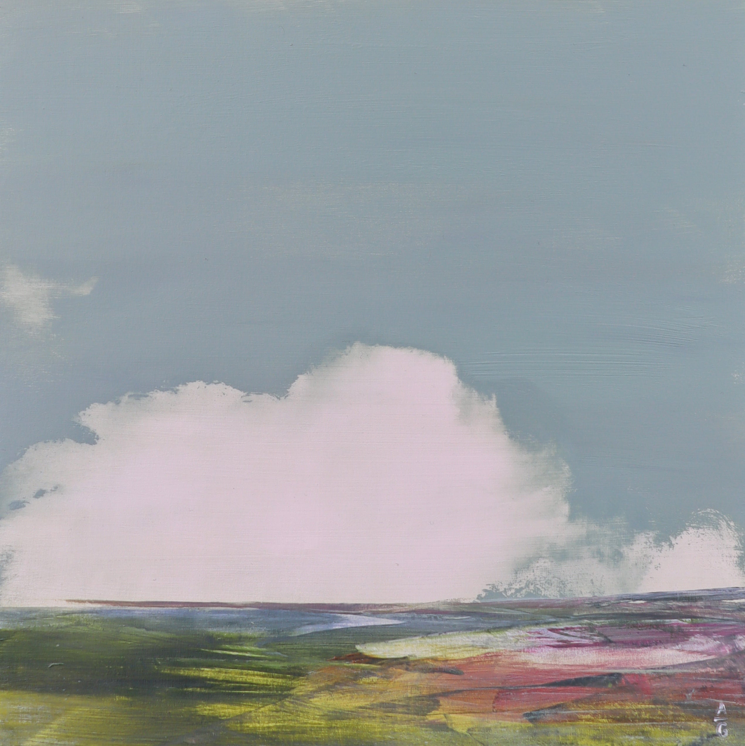 Mourne Marsh