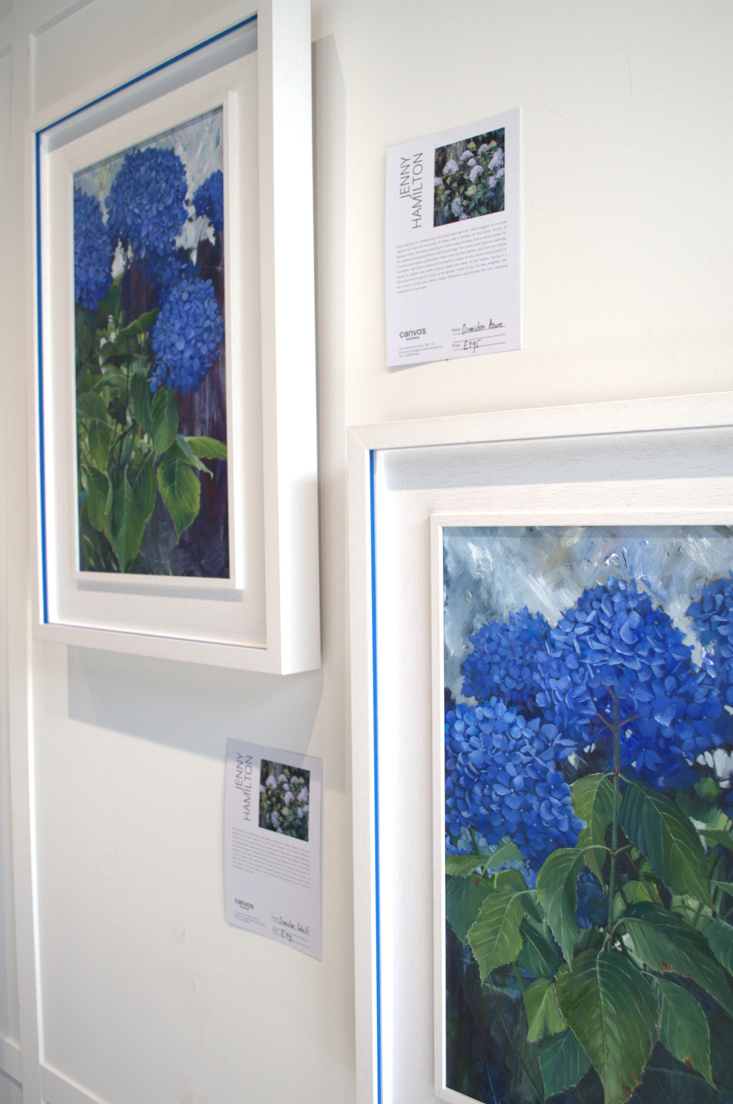 Ormiston Cobalt