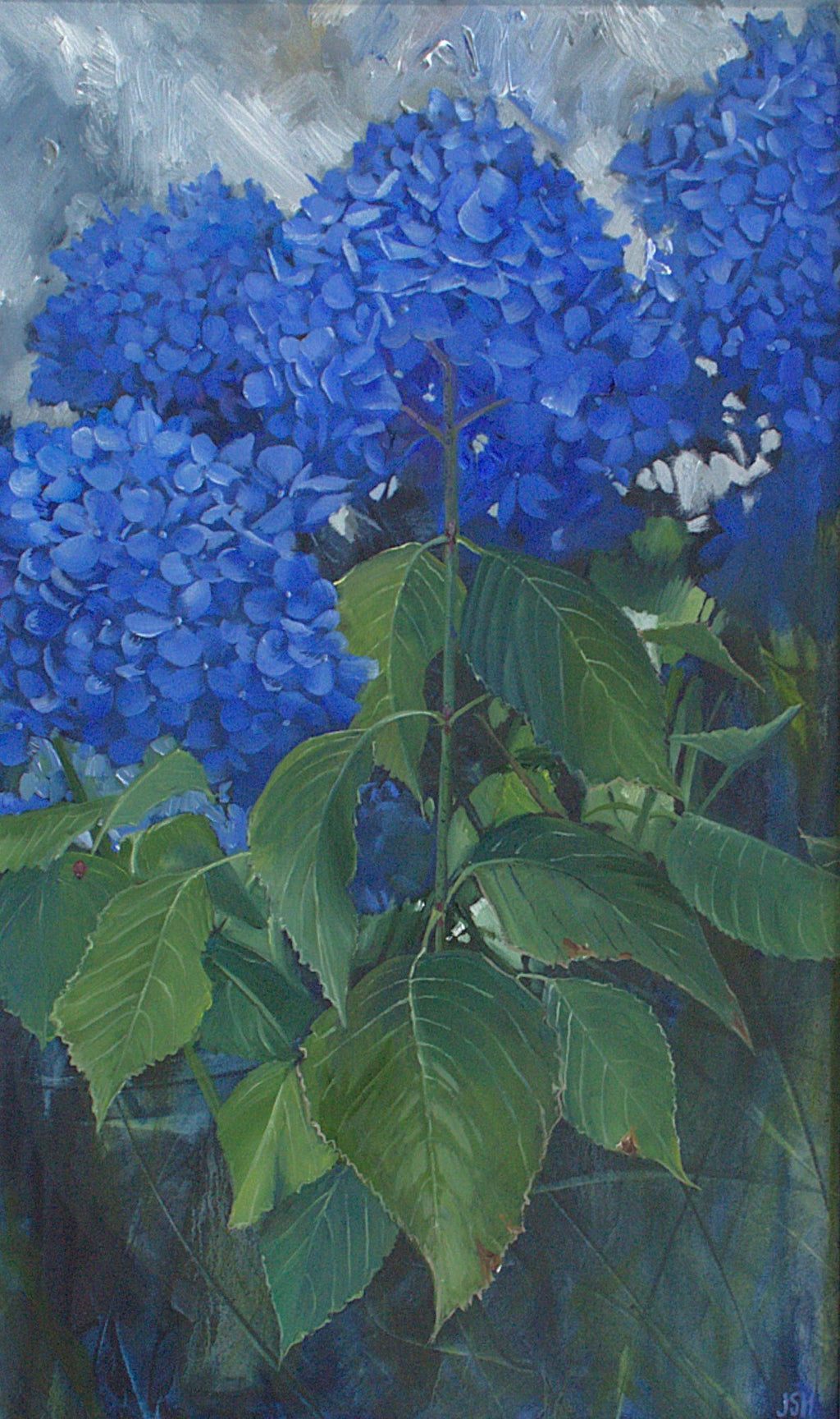 Ormiston Cobalt