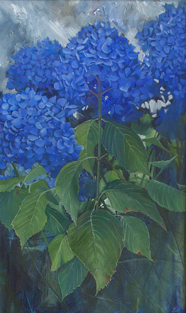 Ormiston Cobalt