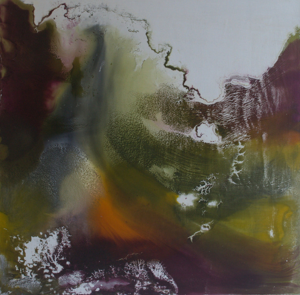 Calluna I